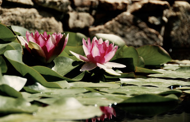 Similar image 178496