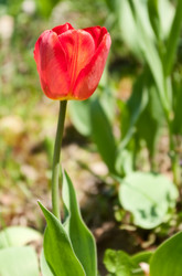 Similar image 178531