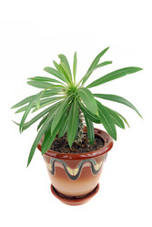 Similar image 178572