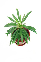 Similar image 178573