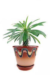 Similar image 178575