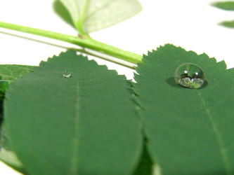 Similar image 178630