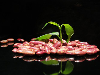 Similar image 178639