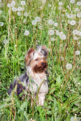 Similar image 178670