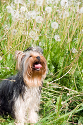 Similar image 178671