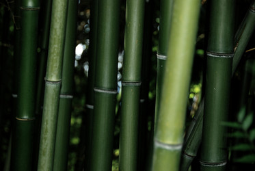 Similar image 178680