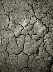 Similar image 178684