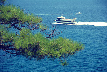 Similar image 178685