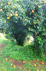 Similar image 178697