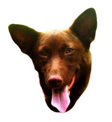 Similar image 178718