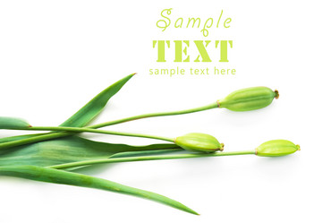 Similar image 178761