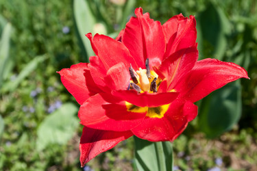 Similar image 178767