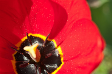 Similar image 178775