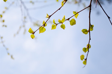 Similar image 178782