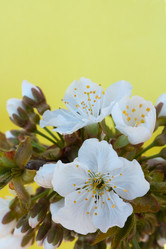 Similar image 178808