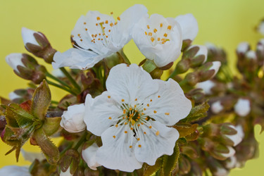 Similar image 178816