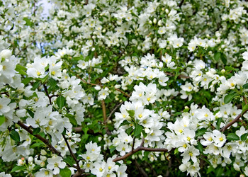 Similar image 178879