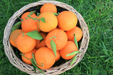 Similar image 178892