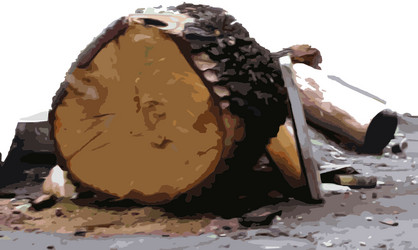 Similar image 178895