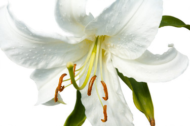 Similar image 179021