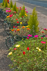 Similar image 179023