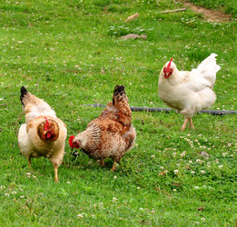 Similar image 179026