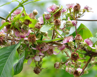 Similar image 179029