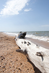 Similar image 179165