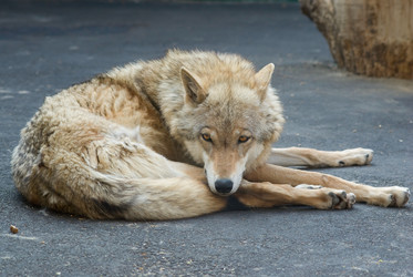 Similar image 179220