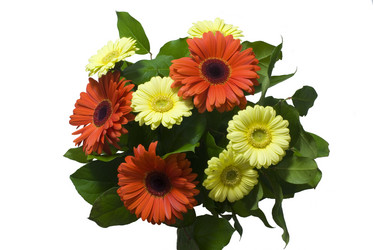 Similar image 179224