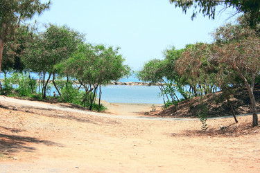 Similar image 179288