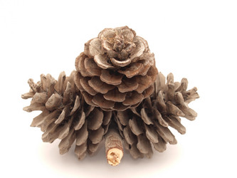 Similar image 179312