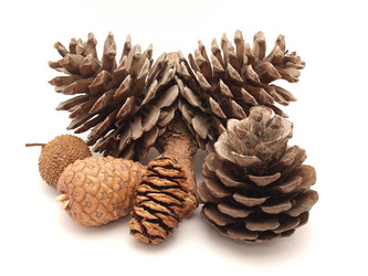 Similar image 179313