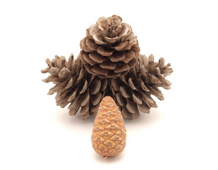 Similar image 179314