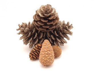 Similar image 179315