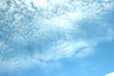 Similar image 179339