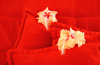 Similar image 179343