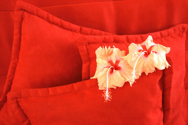 Similar image 179344