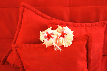 Similar image 179345