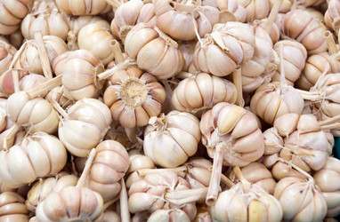 Similar image 179376