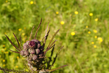 Similar image 179410