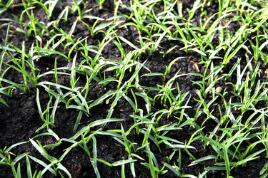 Similar image 179466