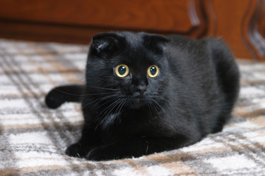 Similar image 179502