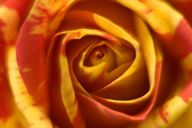 Similar image 179508