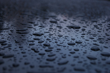 Similar image 179550