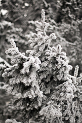 Similar image 179563