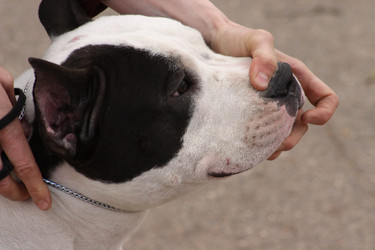 Similar image 179582