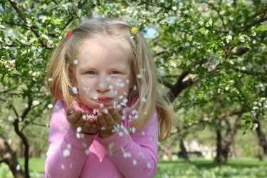 Similar image 179635