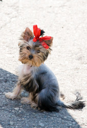 Similar image 179703