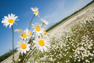 Similar image 179721